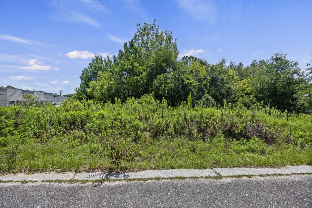 481 Jessen Lane Photo 13