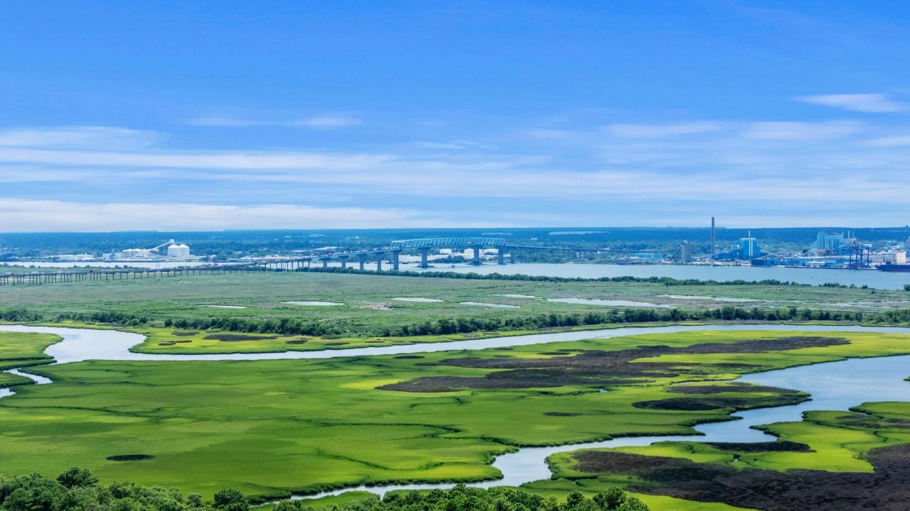 481 Jessen Lane Photo 5