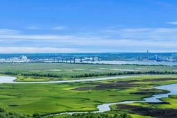 481 Jessen Lane photo 4