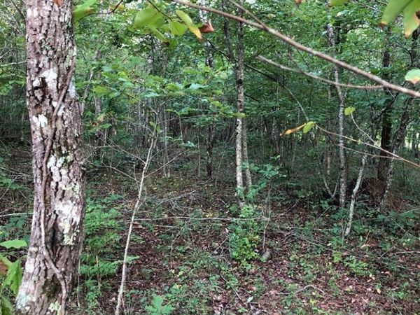 39 Luka Lane, Crossville, TN 38572