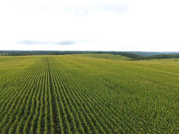 126.75 acres Booth Lane, Viola, WI 54664