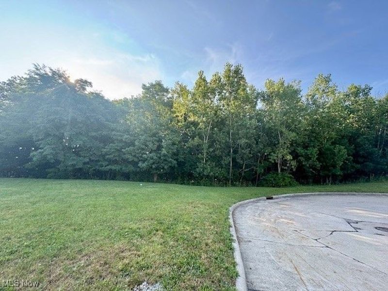 Green Ridge Drive, Wickliffe, OH 44092 Photo 1