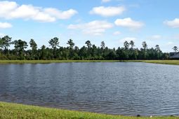 412 Richfield Way photo 4