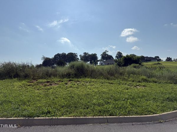 Lot 52 Uncle Buddy'S Way, Jonesborough, TN 37659