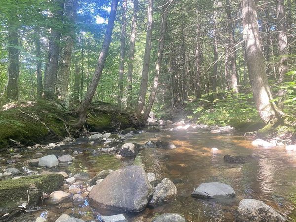 2,4,6 Willis Bean Road, Eaton, NH 03832