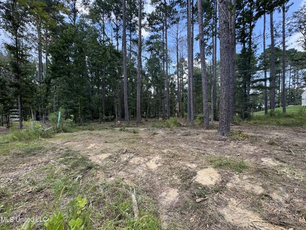 922 Brookhollow Court, Flowood, MS 39232