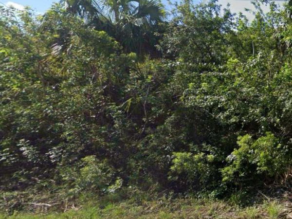 886 Bitlis Street SW, Palm Bay, FL 32908