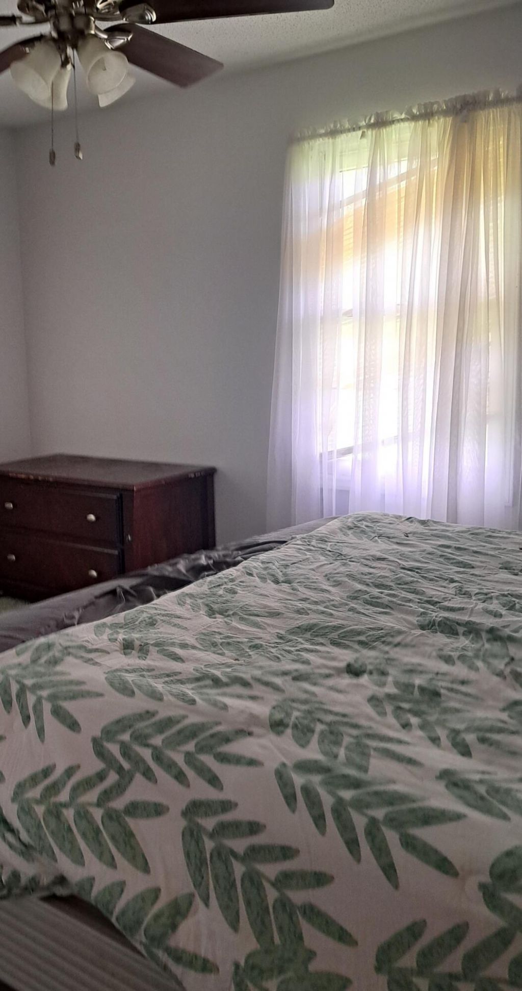 279 Circle Drive Photo 6