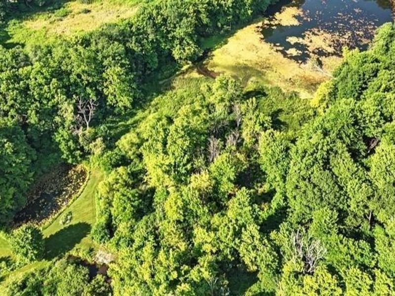 10120 Music Street, Novelty, OH 44072 Photo 3