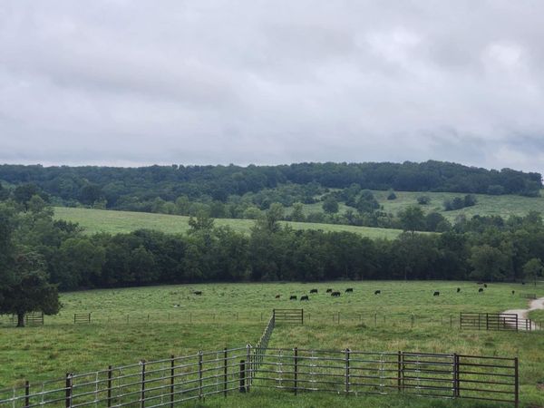 9551 C-Highway Ff, Mountain Grove, MO 65711