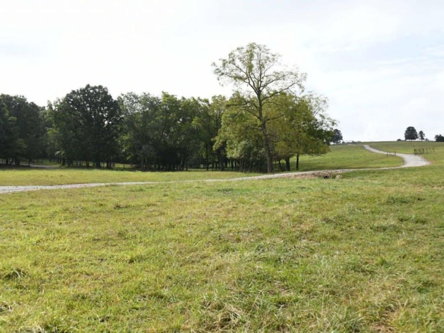 Property Image 101