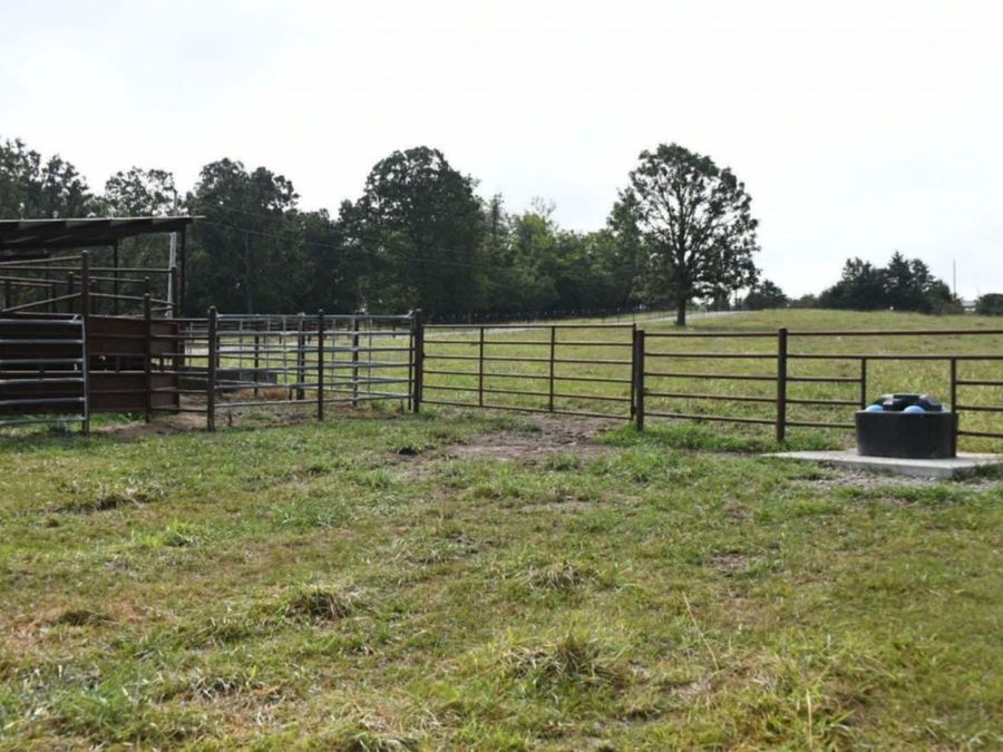 Property Image 114