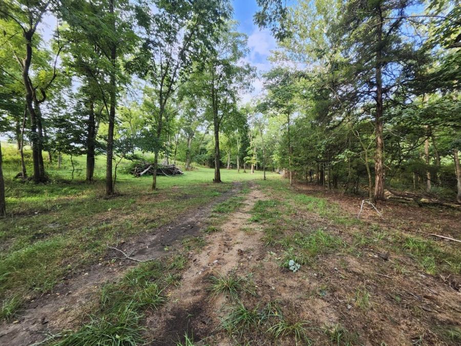 Property Image 52