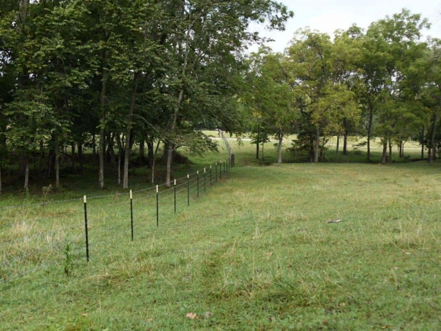 Property Image 99