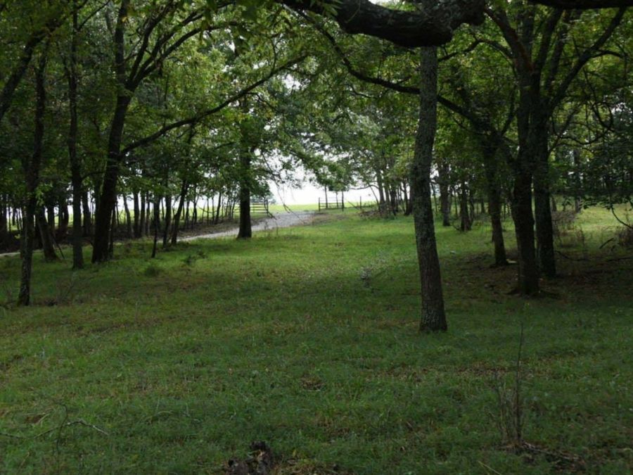 Property Image 100
