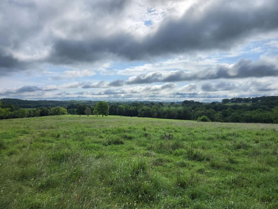 Property Image 67