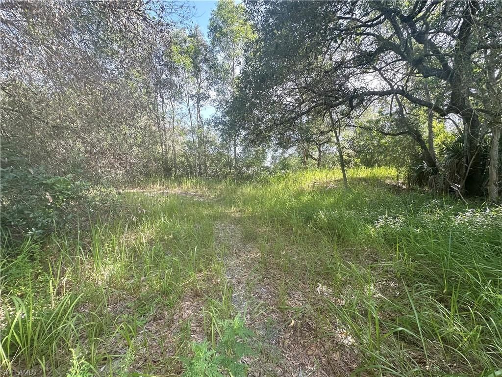 13030 Rio Grande Dr , Bonita Springs, FL 34135 Photo