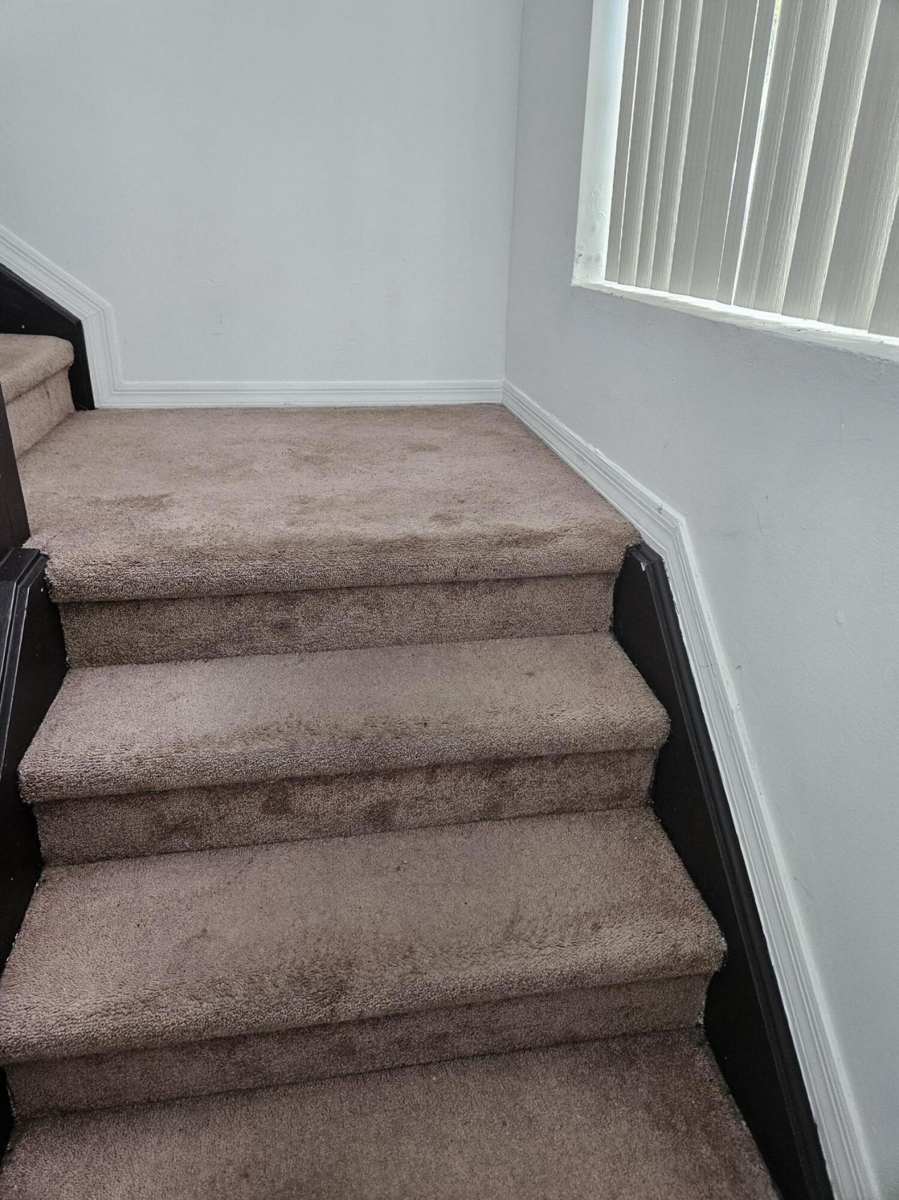 21109 NE 3 Court, Miami, FL 33179 Photo