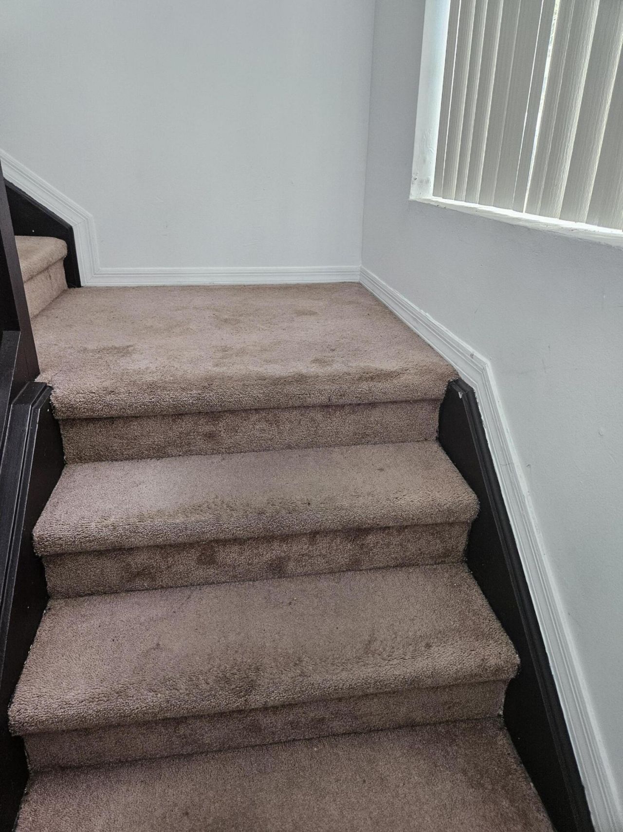 21109 NE 3 Court, Miami, FL 33179 Photo