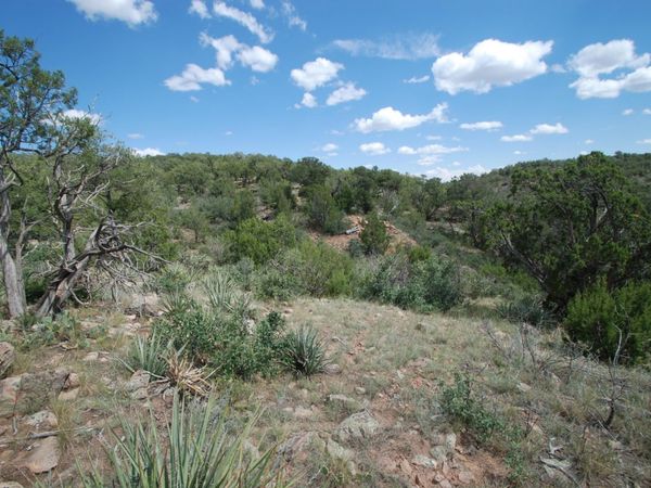 9 Escondida, Sandia Park, NM 87047