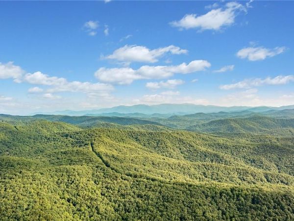 67 Falls Trail, Jasper, GA 30143