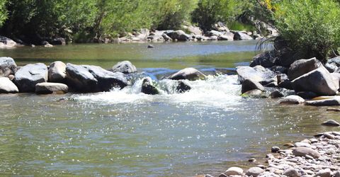 1112 Wyatt Lane, Gardnerville, NV 89460 Photo