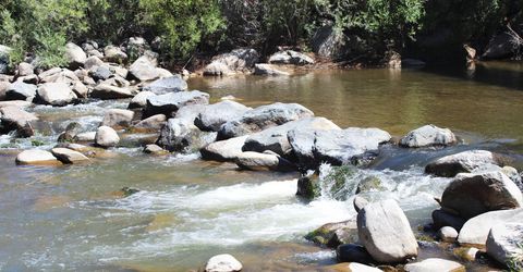 1112 Wyatt Lane, Gardnerville, NV 89460 Photo