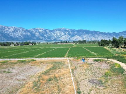 1112 Wyatt Lane, Gardnerville, NV 89460 Photo