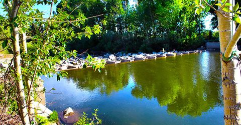 1100 Wyatt Lane, Gardnerville, NV 89460 Photo