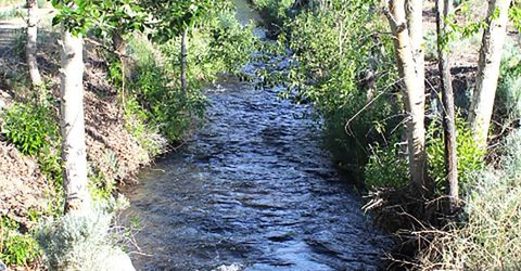 1100 Wyatt Lane, Gardnerville, NV 89460 Photo