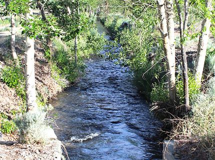 1100 Wyatt Lane, Gardnerville, NV 89460 Photo