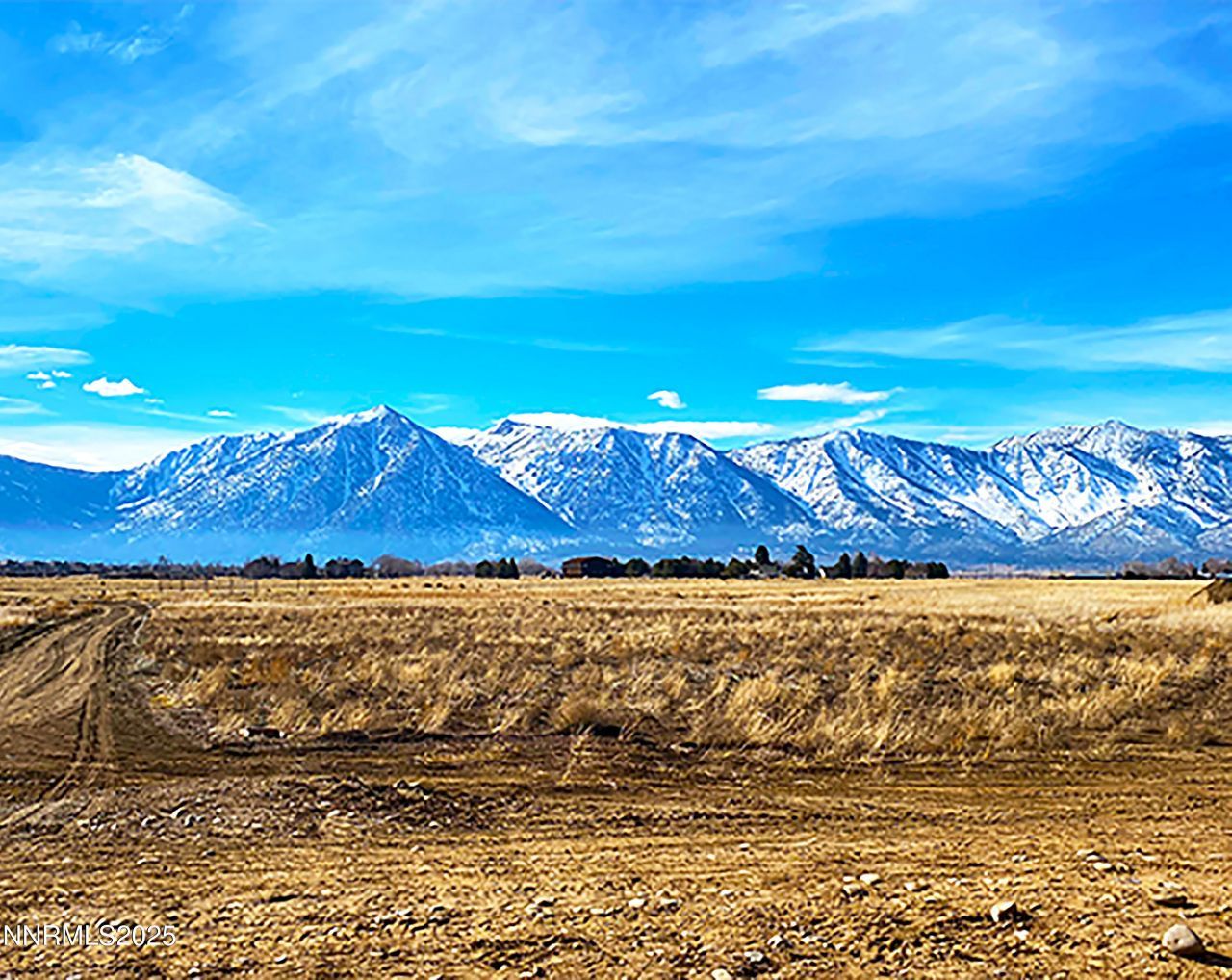 1100 Wyatt Lane, Gardnerville, NV 89460 Photo