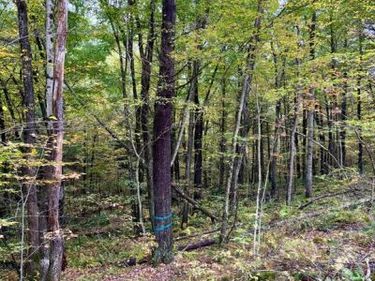 1 BEECH CREEK MOUNTAIN ROAD, BEECH CREEK, PA 16822