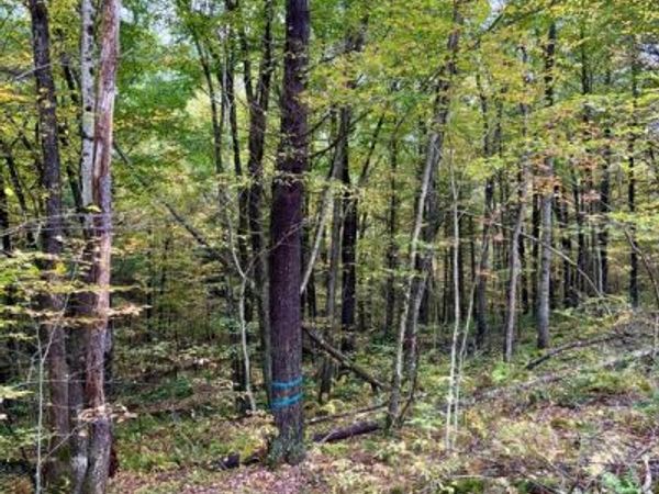 1 BEECH CREEK MOUNTAIN ROAD, BEECH CREEK, PA 16822