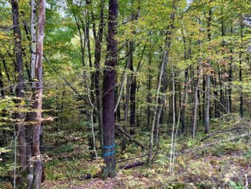 1 Beech Creek Mountain Road, Beech Creek, PA 16822 Main Photo