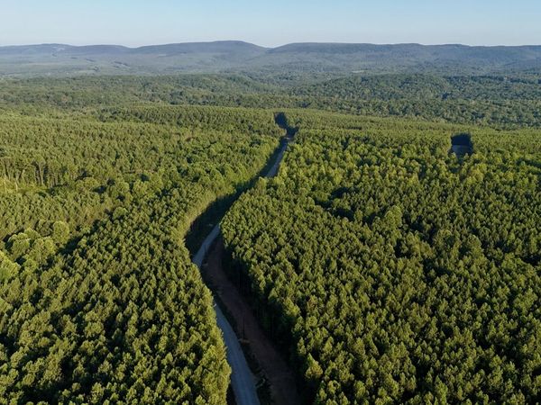 Lot 10 Airport Rd, Rockwood, TN 37854