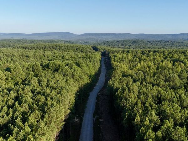 Lot 13 Airport Rd, Rockwood, TN 37854