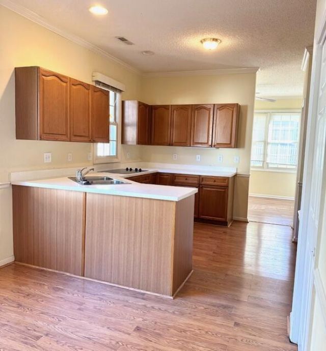 9162 Spring Branch Court Photo 17