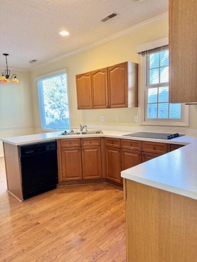 9162 Spring Branch Court Photo 20