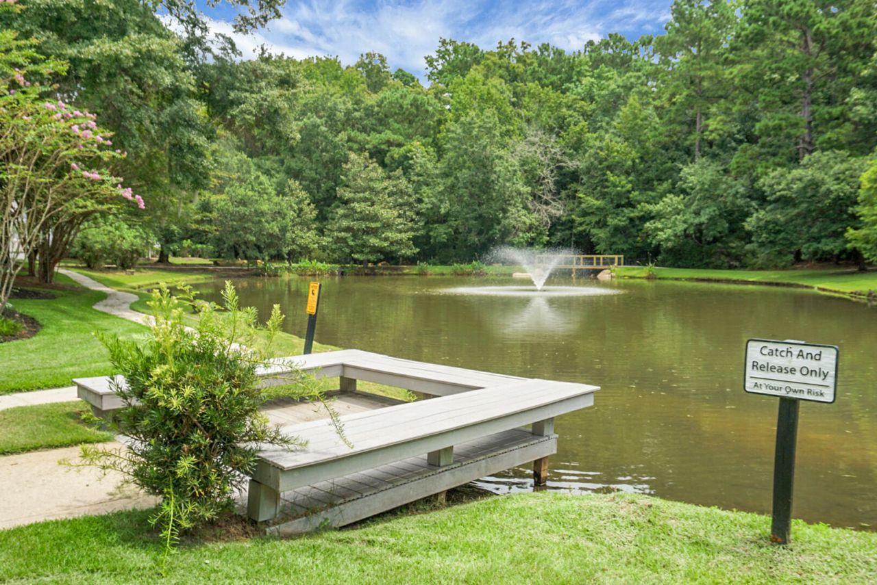 9162 Spring Branch Court Photo 46