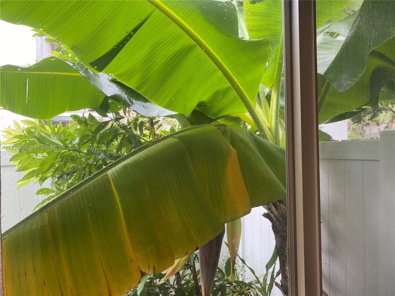 6006 Plum Pl, Tamarac, FL 33321 Photo