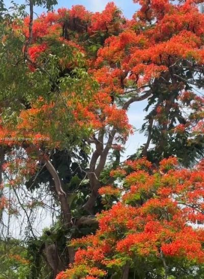 14450 SW 188th St, Miami, FL 33177 Photo