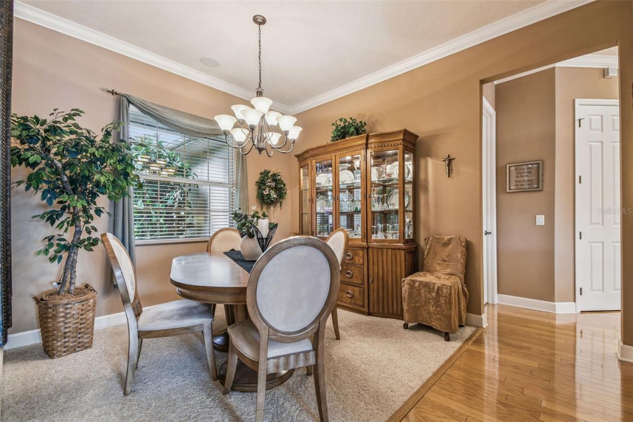 21738 Ocean Pines Drive, Land O Lakes, FL 34639 Photo