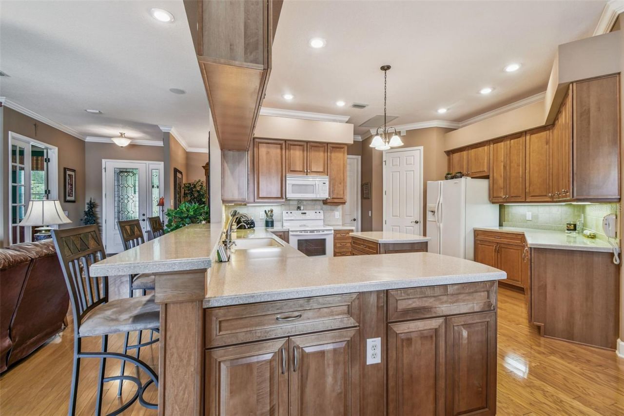 21738 Ocean Pines Drive, Land O Lakes, FL 34639 Photo