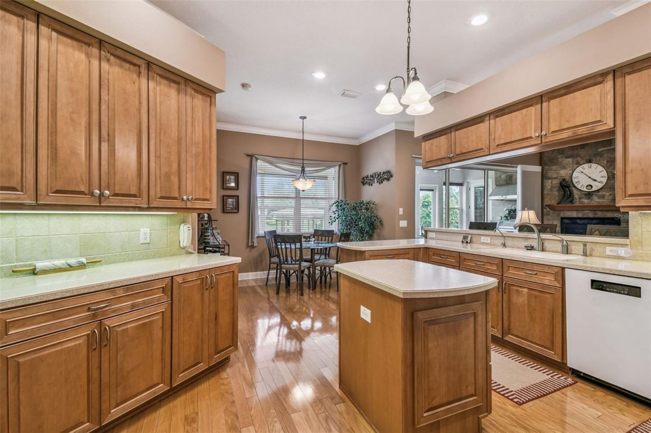 21738 Ocean Pines Drive, Land O Lakes, FL 34639 Photo