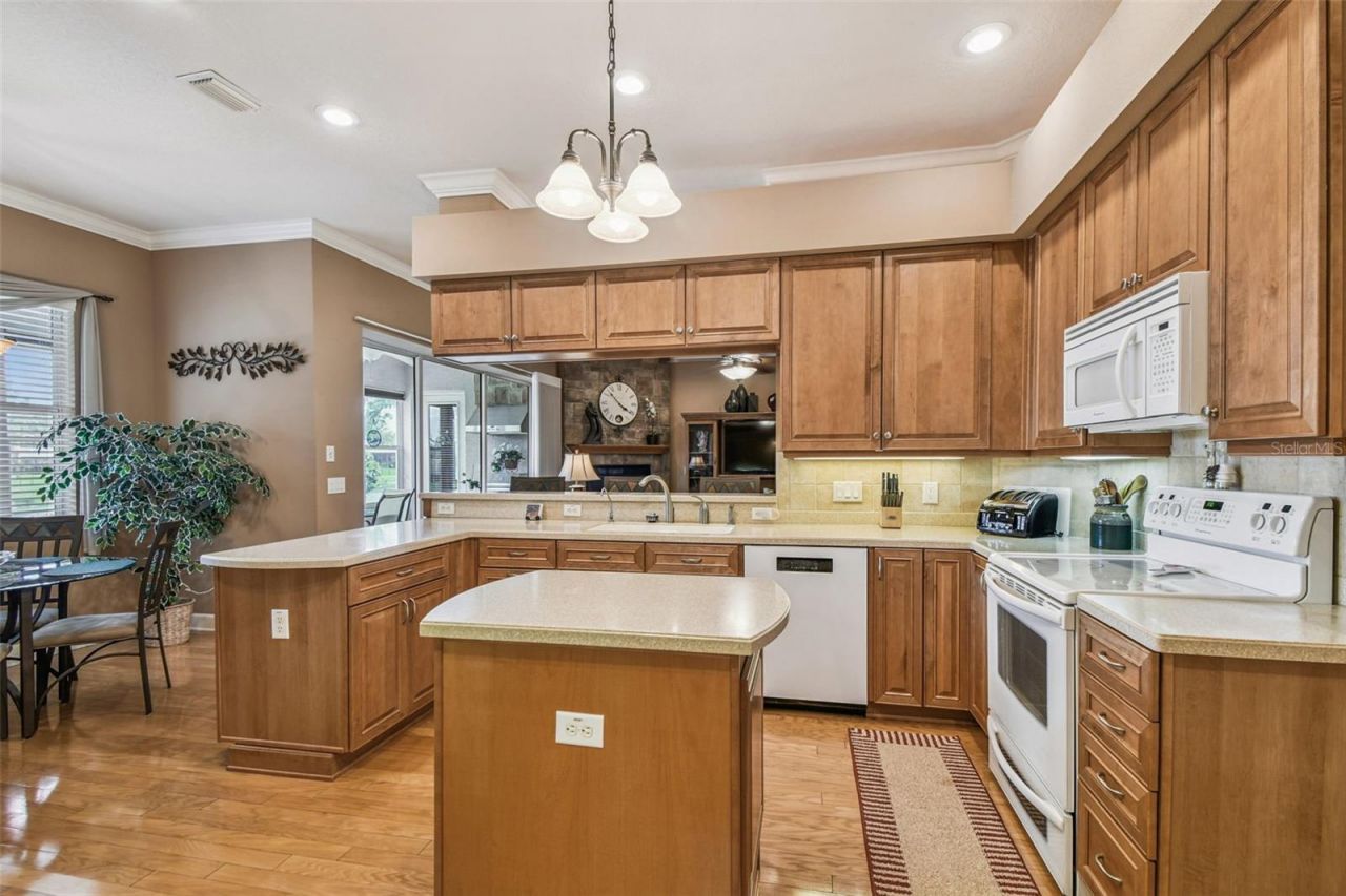 21738 Ocean Pines Drive, Land O Lakes, FL 34639 Photo