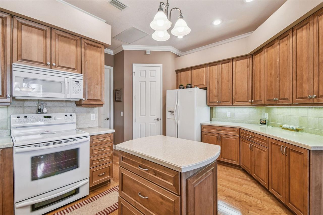 21738 Ocean Pines Drive, Land O Lakes, FL 34639 Photo