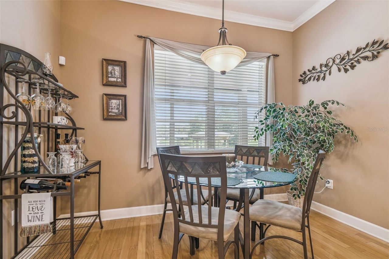 21738 Ocean Pines Drive, Land O Lakes, FL 34639 Photo