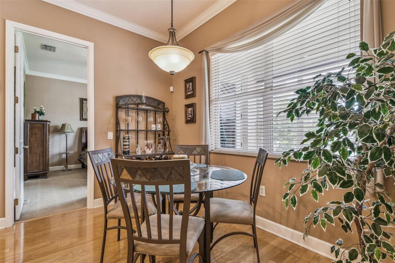 21738 Ocean Pines Drive, Land O Lakes, FL 34639 Photo