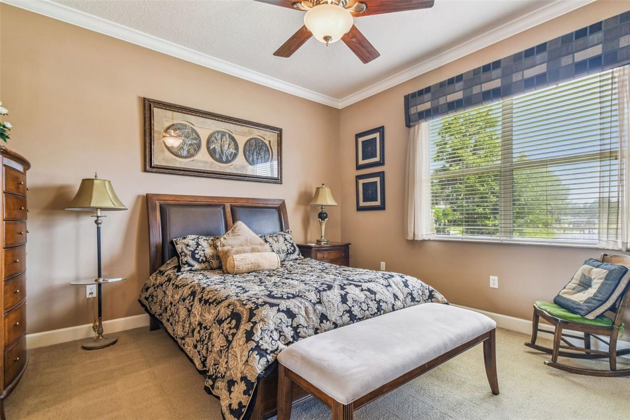 21738 Ocean Pines Drive, Land O Lakes, FL 34639 Photo